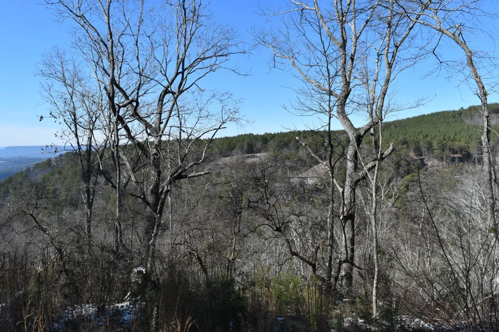 0 Birds Eye Way Guild, TN 37340
