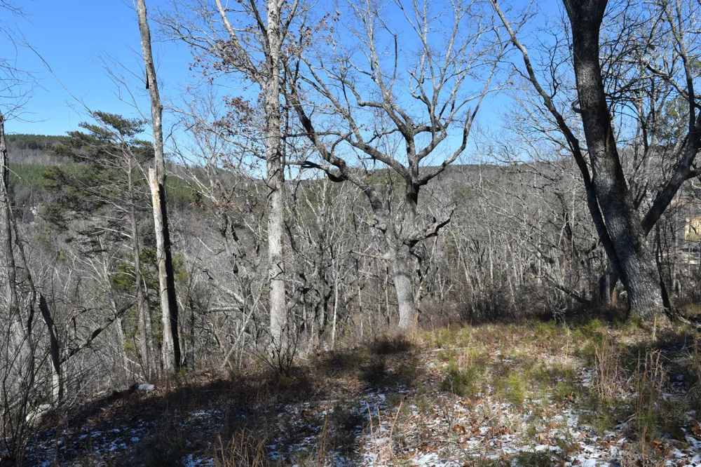 0 Birds Eye Way Guild, TN 37340