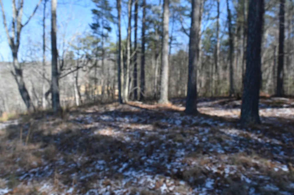 0 Birds Eye Way Guild, TN 37340