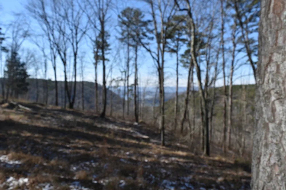 0 Birds Eye Way Guild, TN 37340