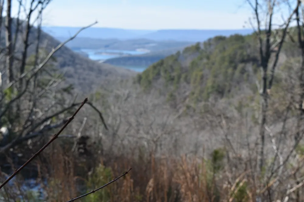 0 Birds Eye Way Guild, TN 37340