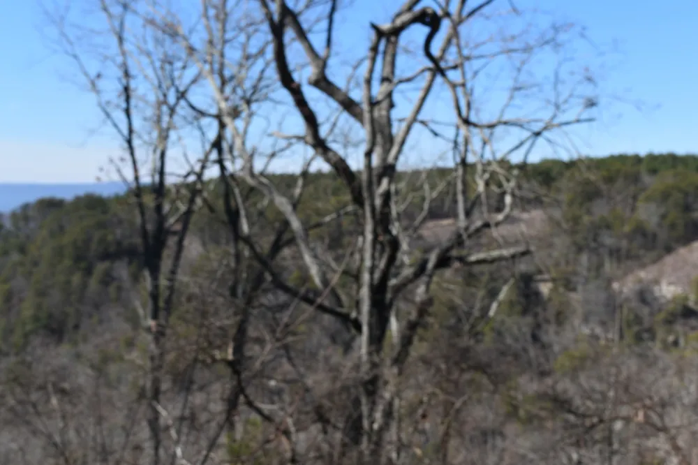 0 Birds Eye Way Guild, TN 37340