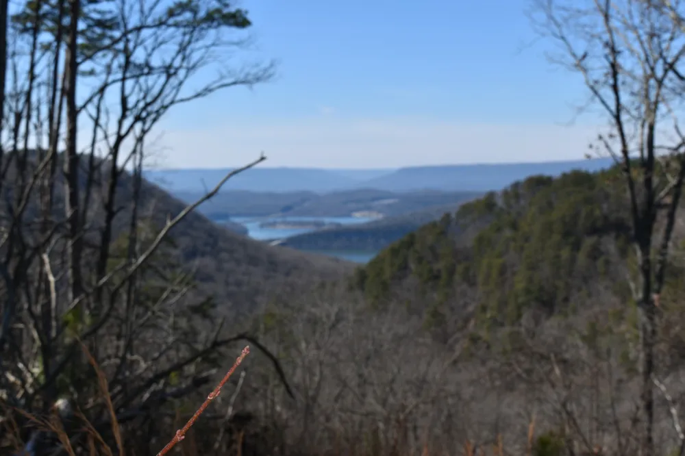 0 Birds Eye Way Guild, TN 37340