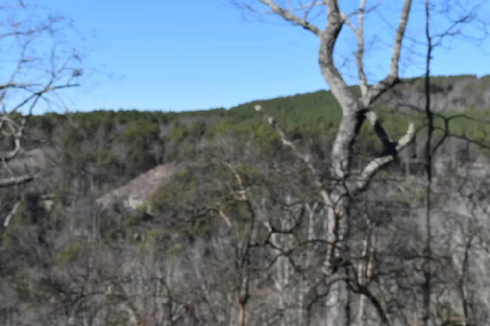 0 Birds Eye Way Guild, TN 37340