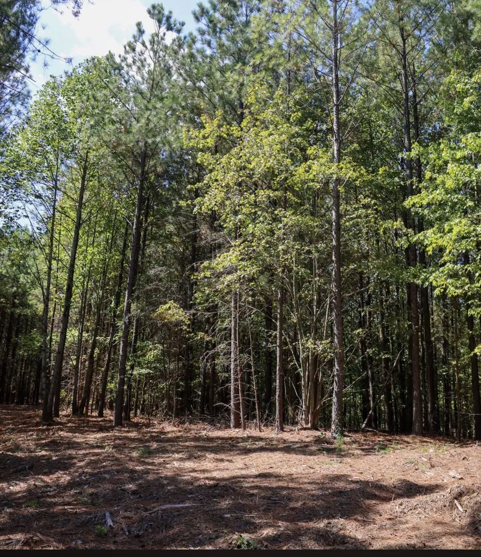 0 Birds Eye Way Guild, TN 37340