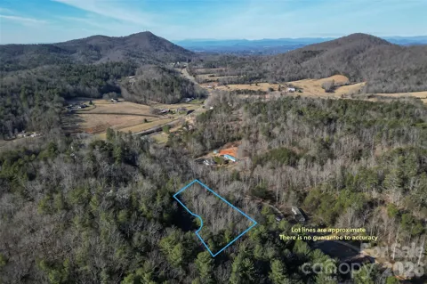 3124 Mountain Laurel Drive