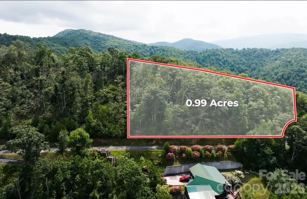 Lot 9 Balsam Drive #9 Newland, NC 28657