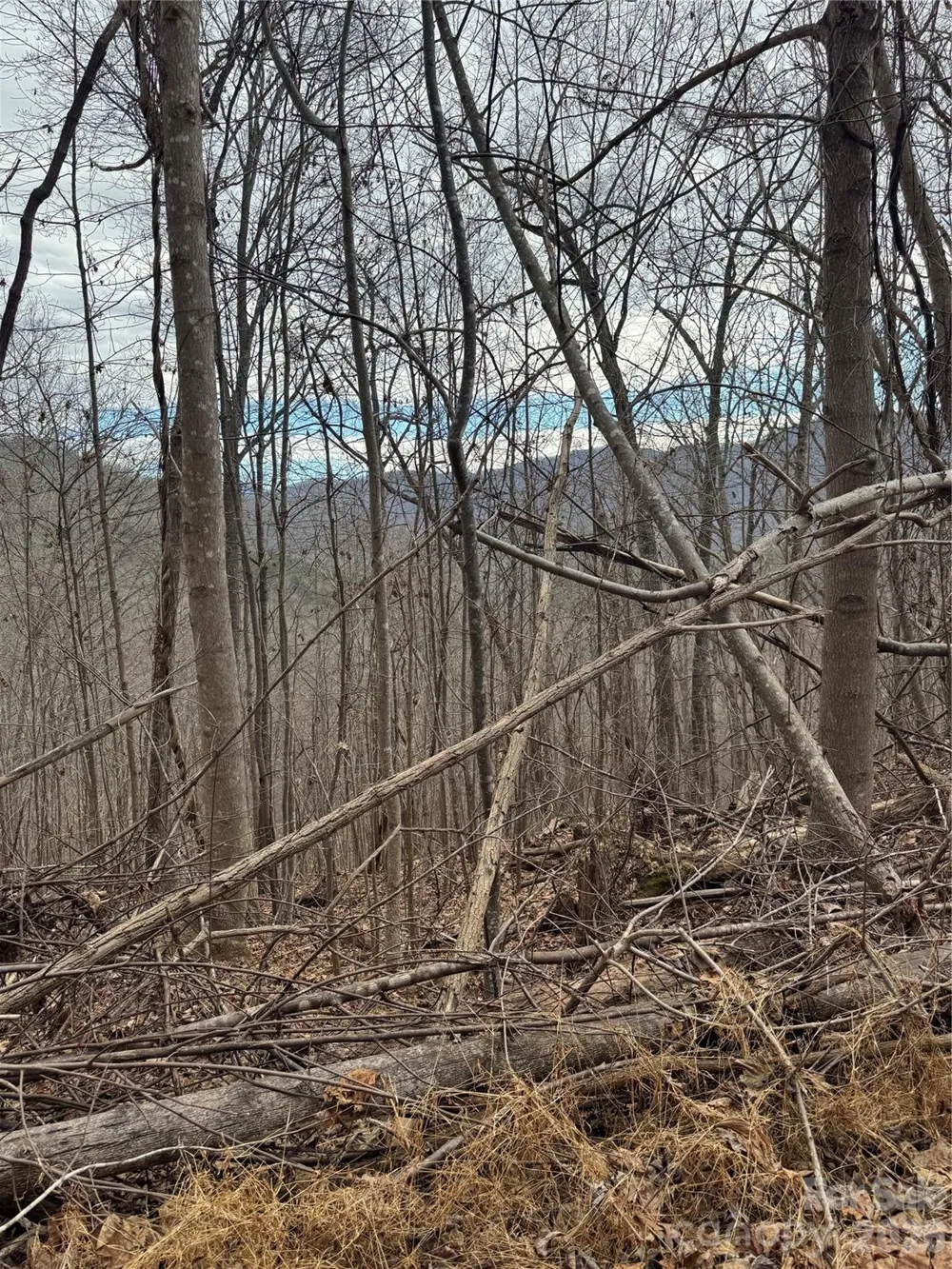 99999 Penland Road Hayesville, NC 28904