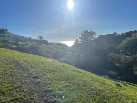 Ramona