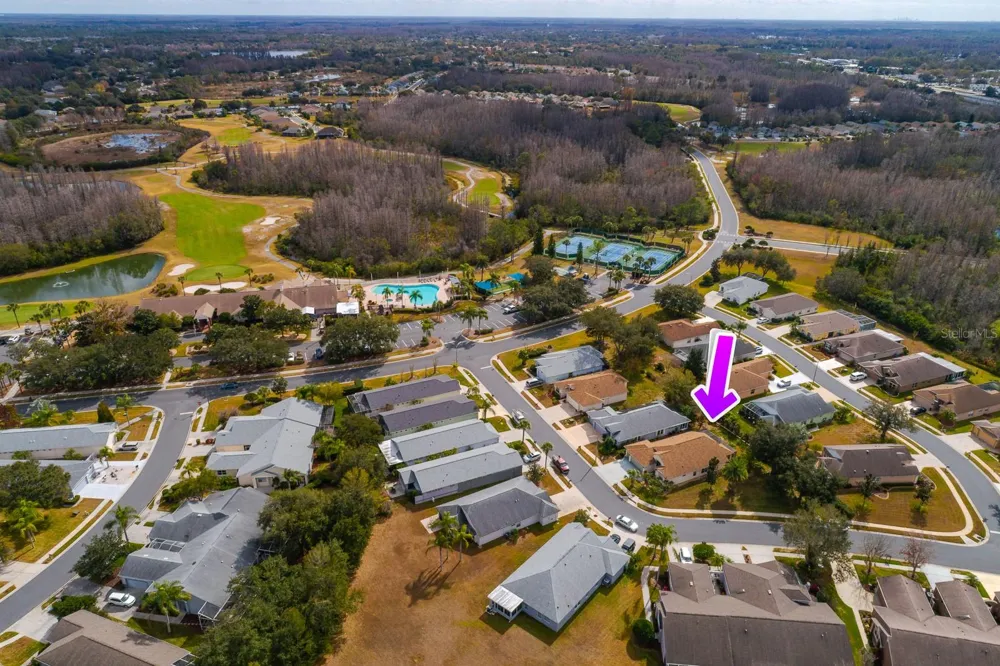 20520 HOMOSSASA COURT Land O Lakes, FL 34637