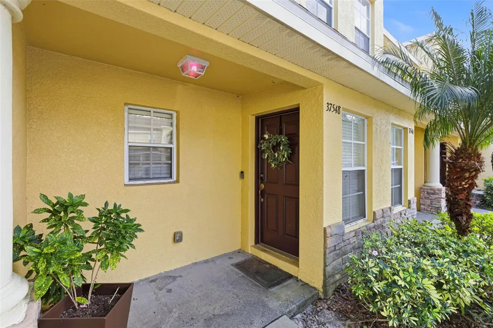 37548 DALIHA TERRACE Zephyrhills, FL 33542