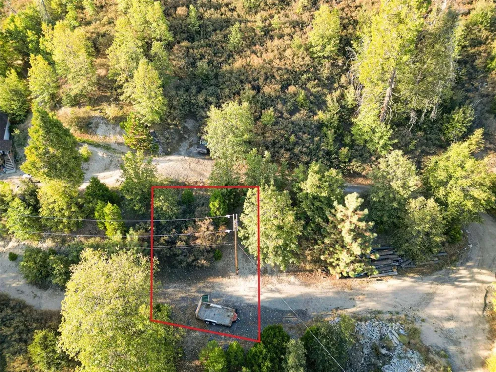 299 Pine Drive Cedar Glen, CA 92321