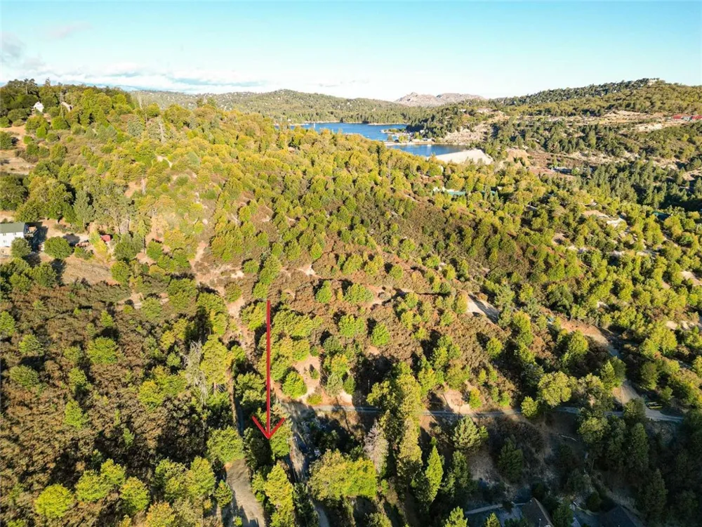 299 Pine Drive Cedar Glen, CA 92321