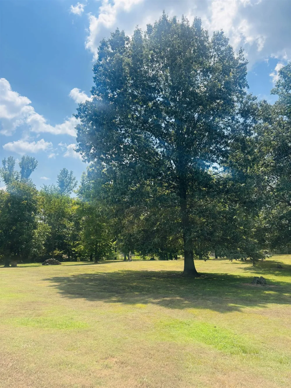 0 CHEROKEE LN Bath Springs, TN 38311