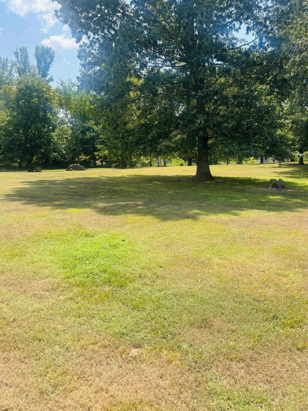 0 CHEROKEE LN Bath Springs, TN 38311