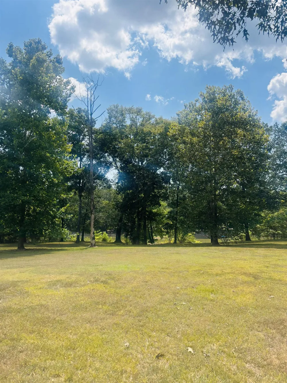 0 CHEROKEE LN Bath Springs, TN 38311