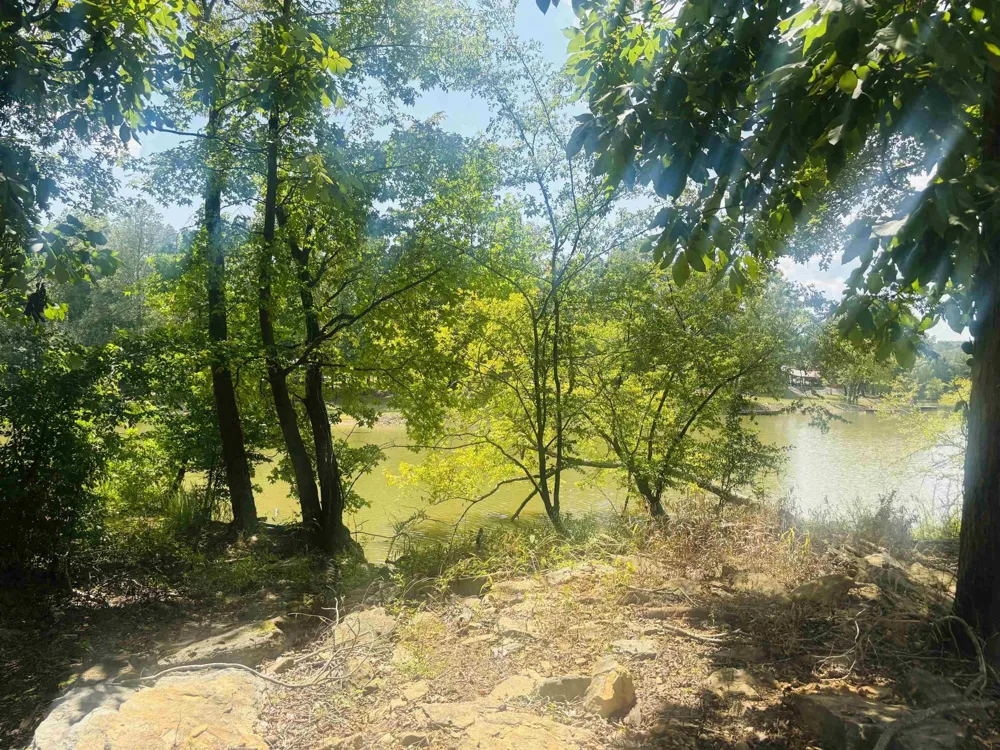 0 CHEROKEE LN Bath Springs, TN 38311