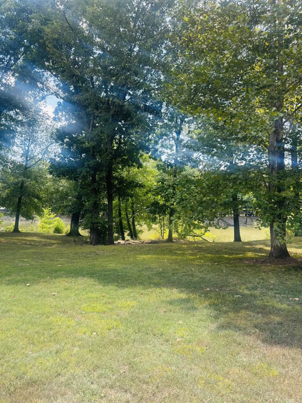 0 CHEROKEE LN Bath Springs, TN 38311