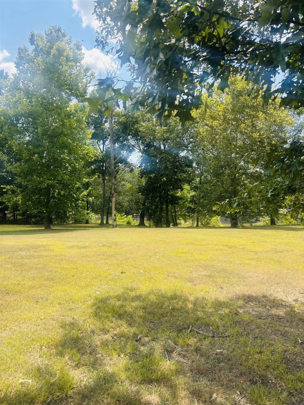 0 CHEROKEE LN Bath Springs, TN 38311
