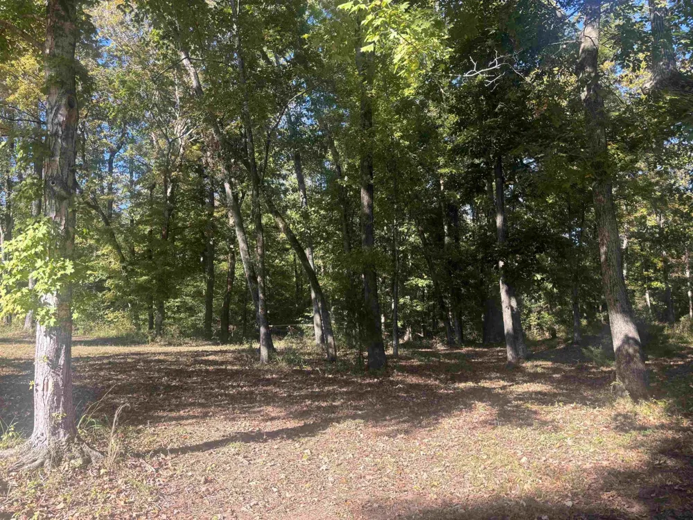 0 MARIAH LN Bath Springs, TN 38311