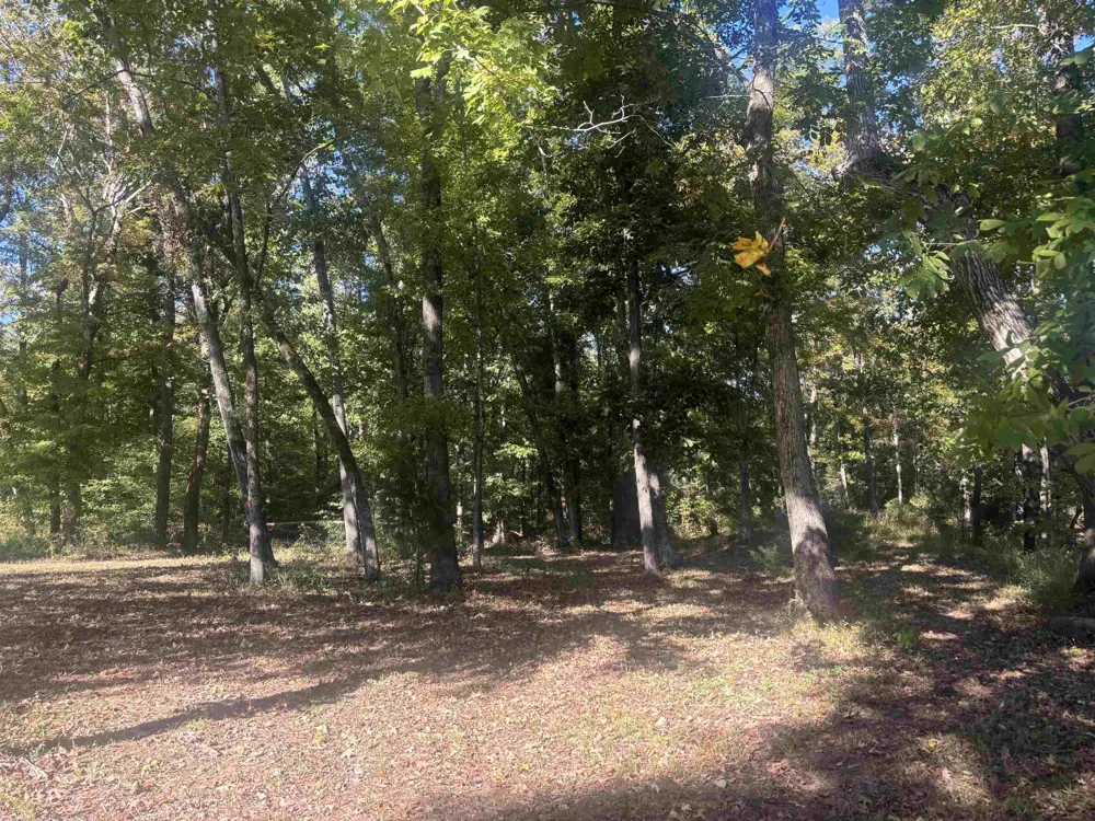 0 MARIAH LN Bath Springs, TN 38311