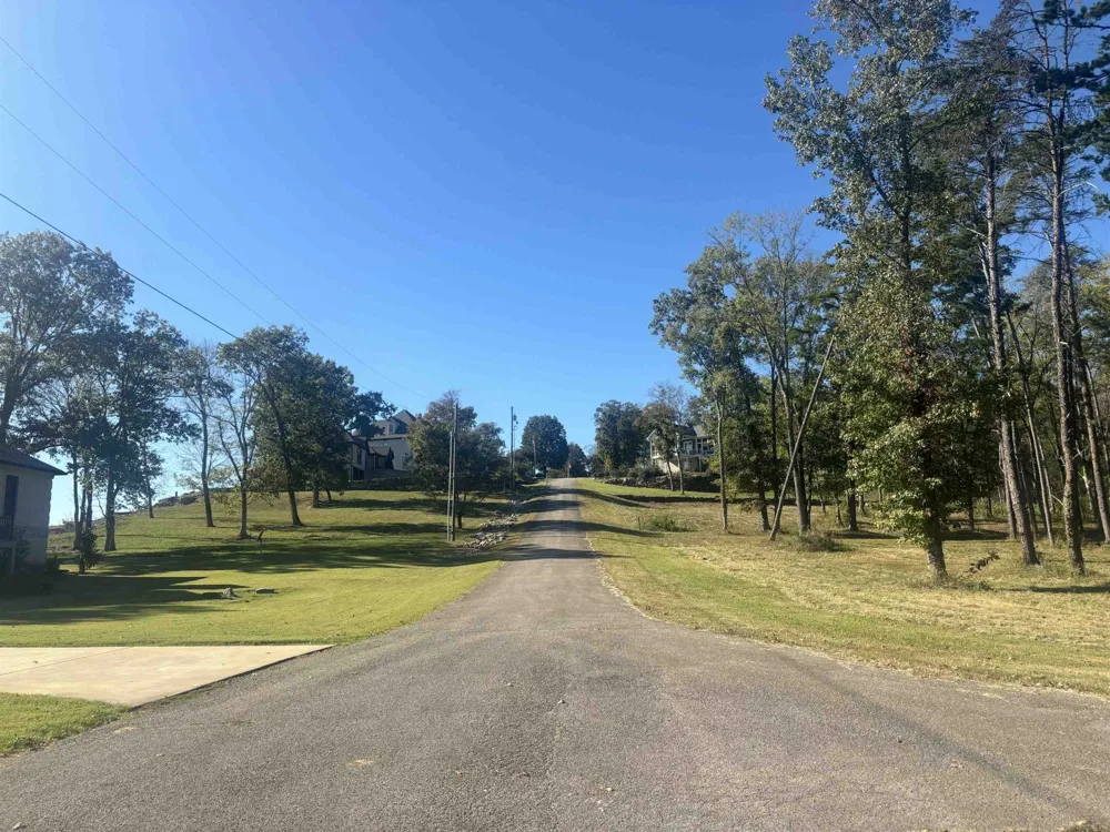 0 MARIAH LN Bath Springs, TN 38311