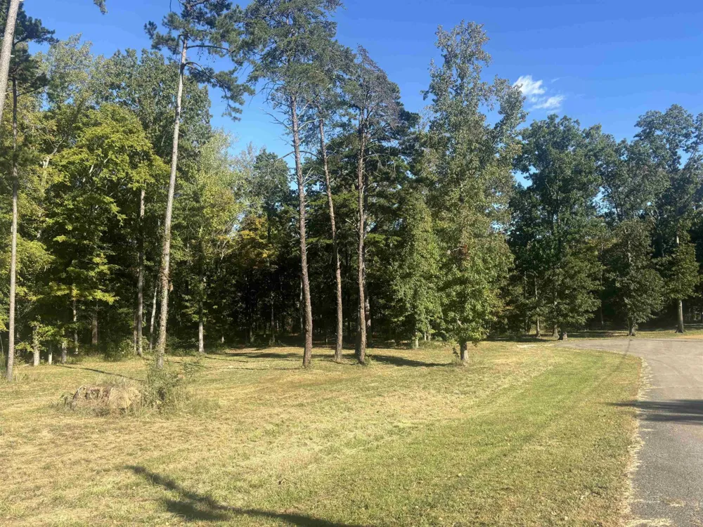 0 MARIAH LN Bath Springs, TN 38311