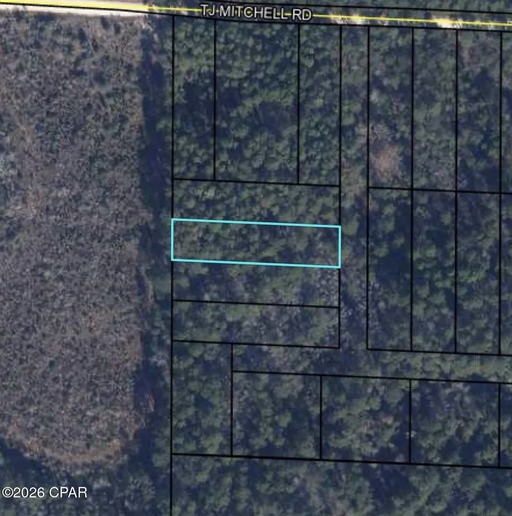 T J Mitchell Road Bonifay, FL 32425