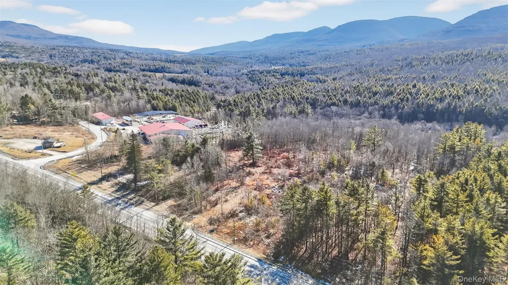 6769 Rt-23A Tannersville, NY 12442
