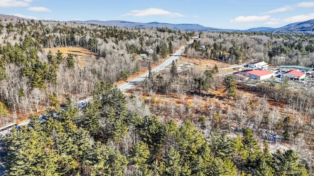 6769 Rt-23A Tannersville, NY 12442