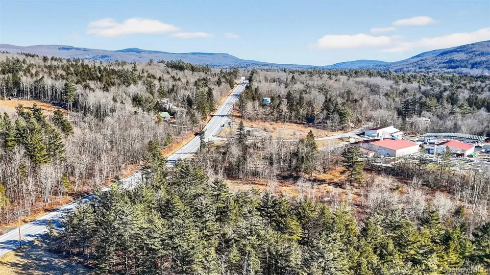 6769 Rt-23A Tannersville, NY 12442