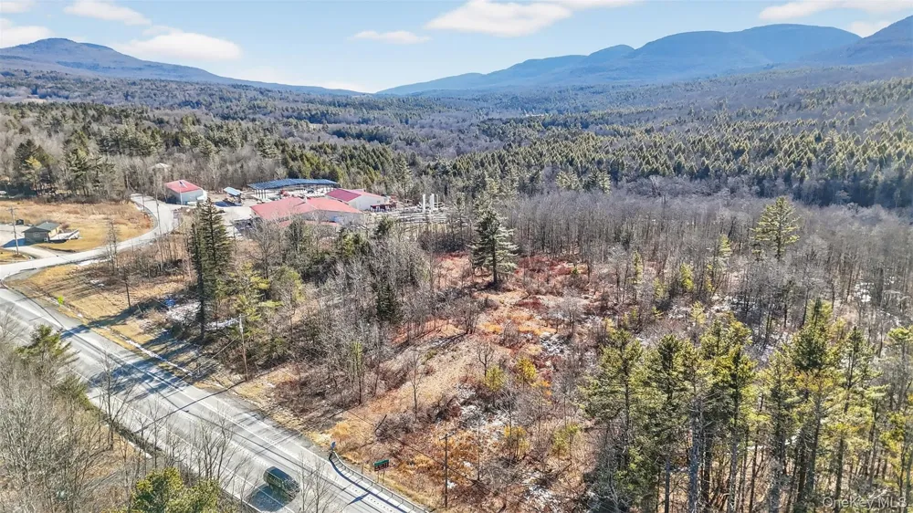 6769 Rt-23A Tannersville, NY 12442