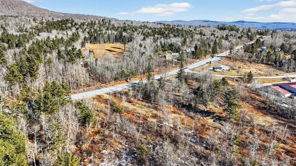 6769 Rt-23A Tannersville, NY 12442