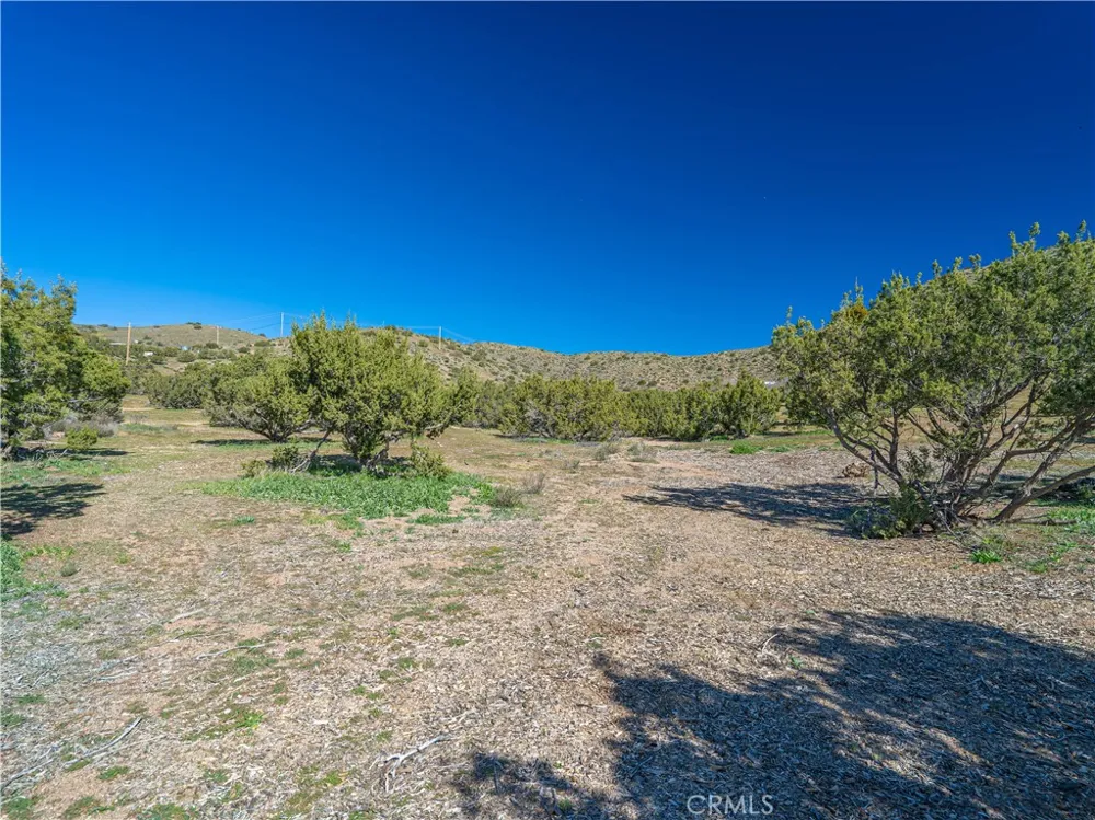 Vac/1/2 Mi N Sierra Hwy/I Mi E S Acton, CA 93510