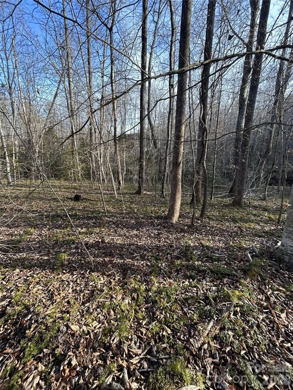 Lot 24 Double Eagle Drive #24 Nebo, NC 28761