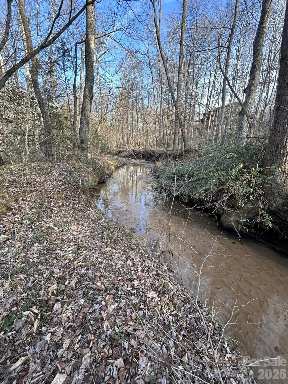 Lot 24 Double Eagle Drive #24 Nebo, NC 28761