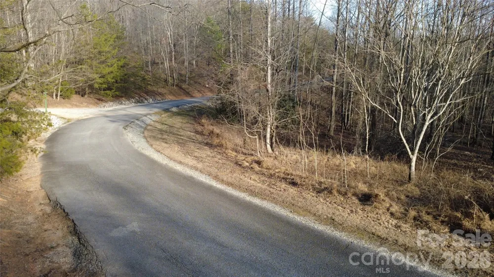 Lot 24 Double Eagle Drive #24 Nebo, NC 28761