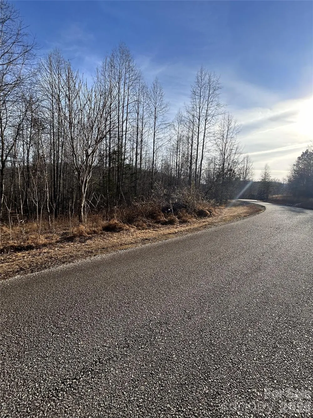Lot 24 Double Eagle Drive #24 Nebo, NC 28761