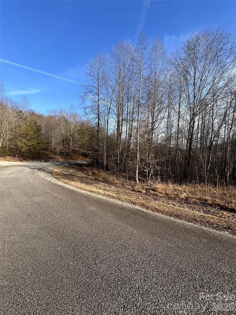 Lot 24 Double Eagle Drive #24 Nebo, NC 28761