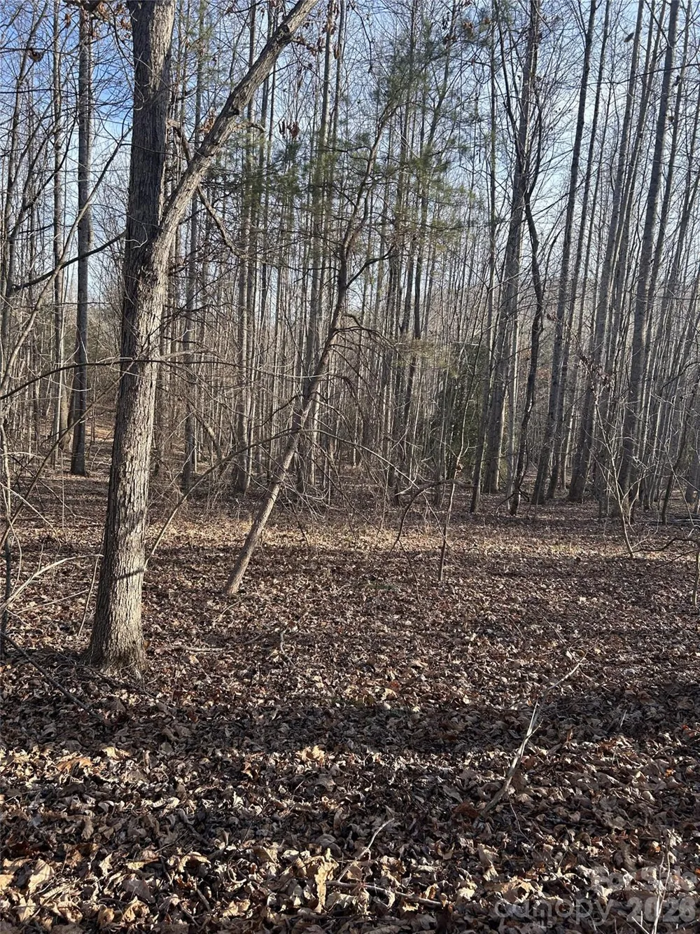 Lot 24 Double Eagle Drive #24 Nebo, NC 28761