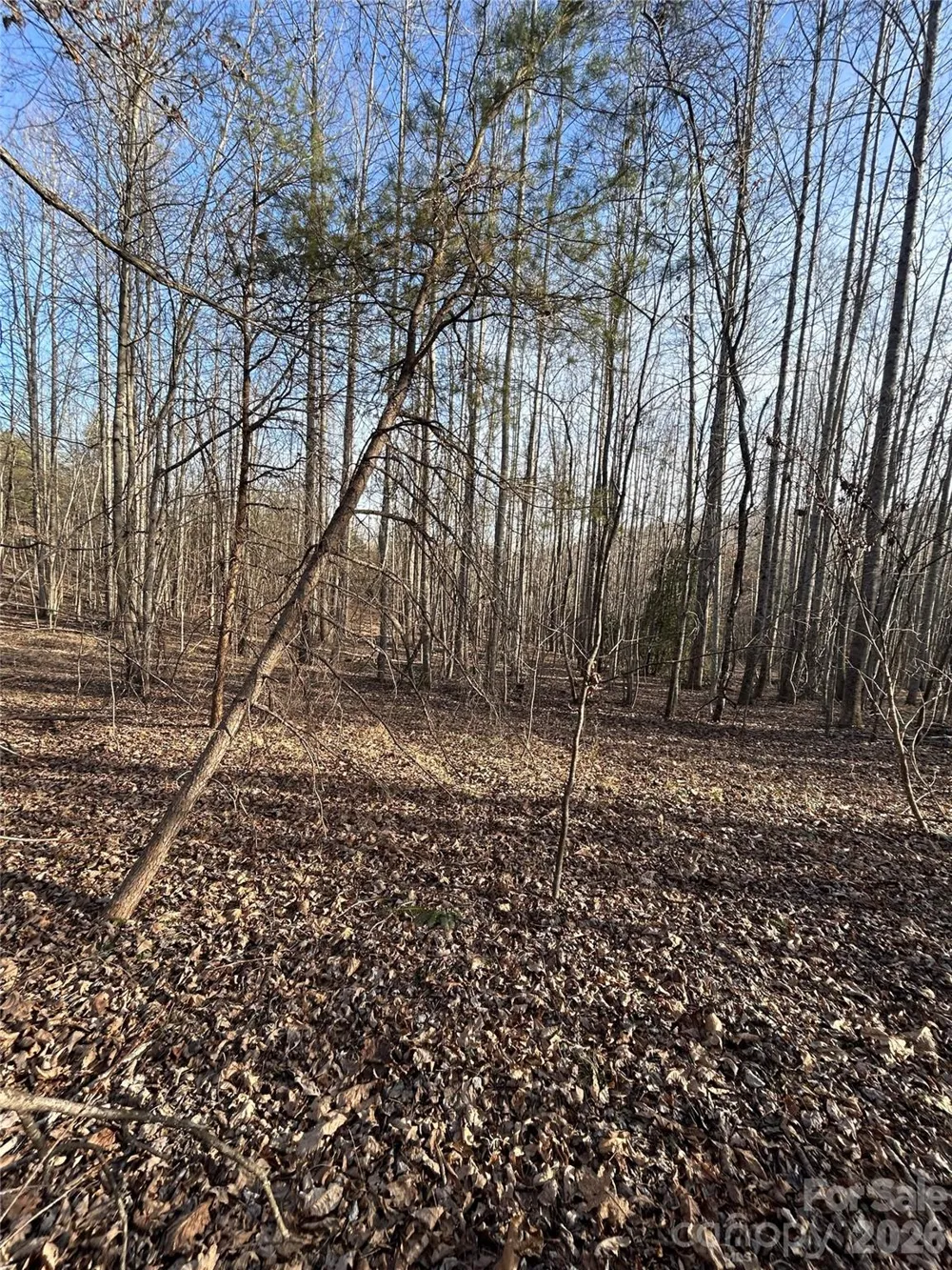 Lot 24 Double Eagle Drive #24 Nebo, NC 28761