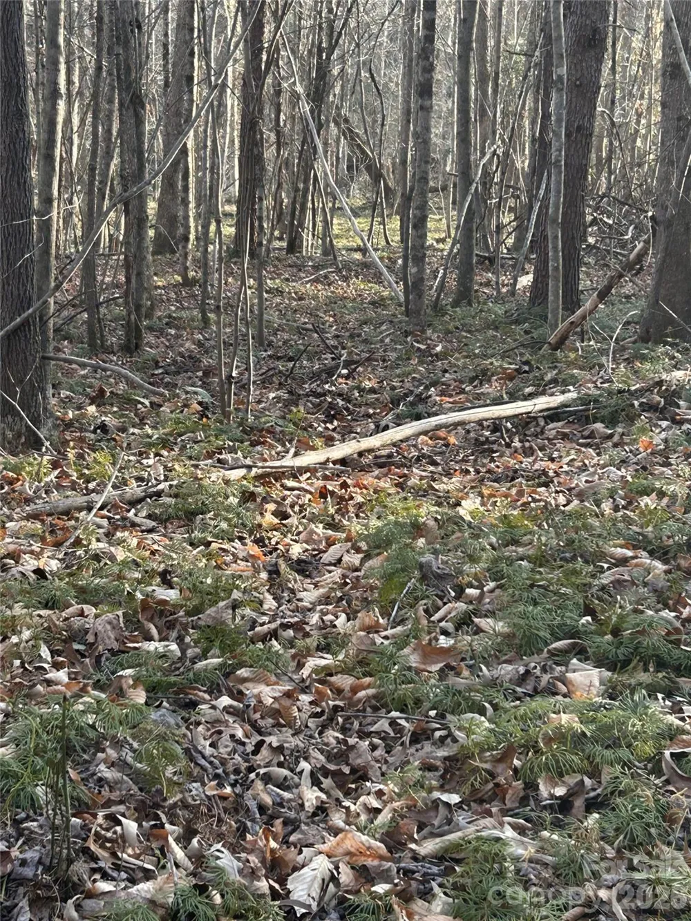 Lot 24 Double Eagle Drive #24 Nebo, NC 28761
