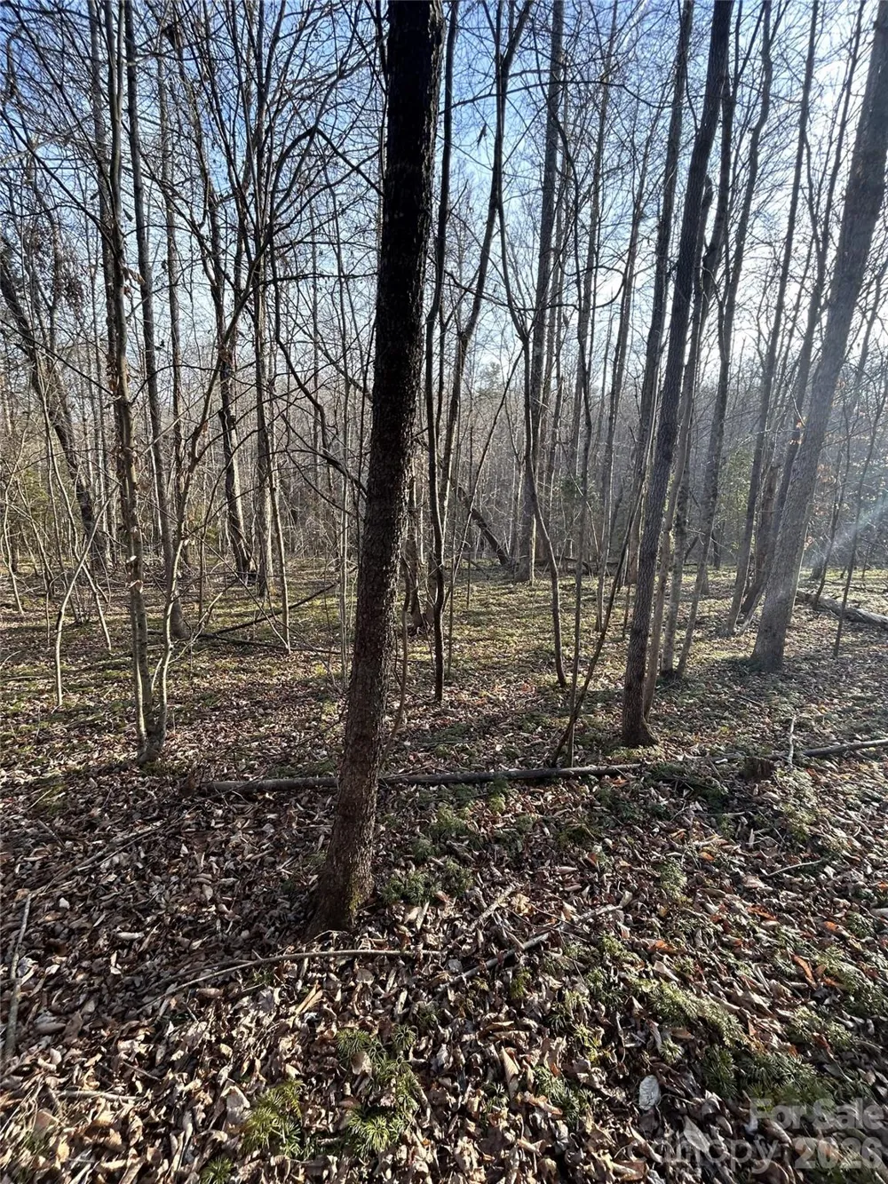 Lot 24 Double Eagle Drive #24 Nebo, NC 28761
