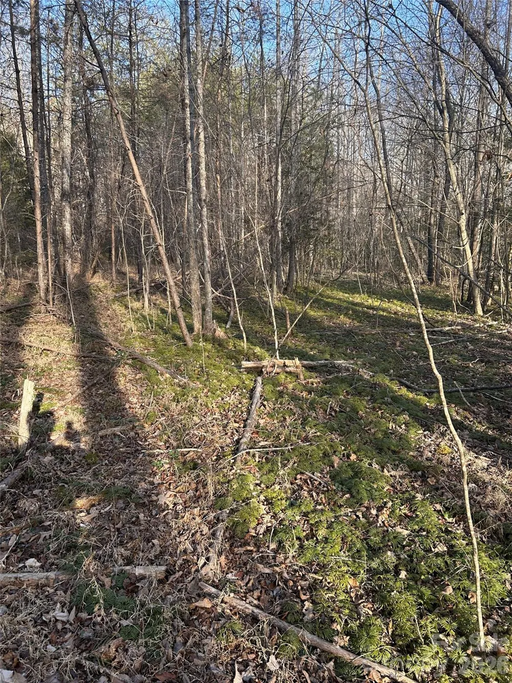 Lot 24 Double Eagle Drive #24 Nebo, NC 28761