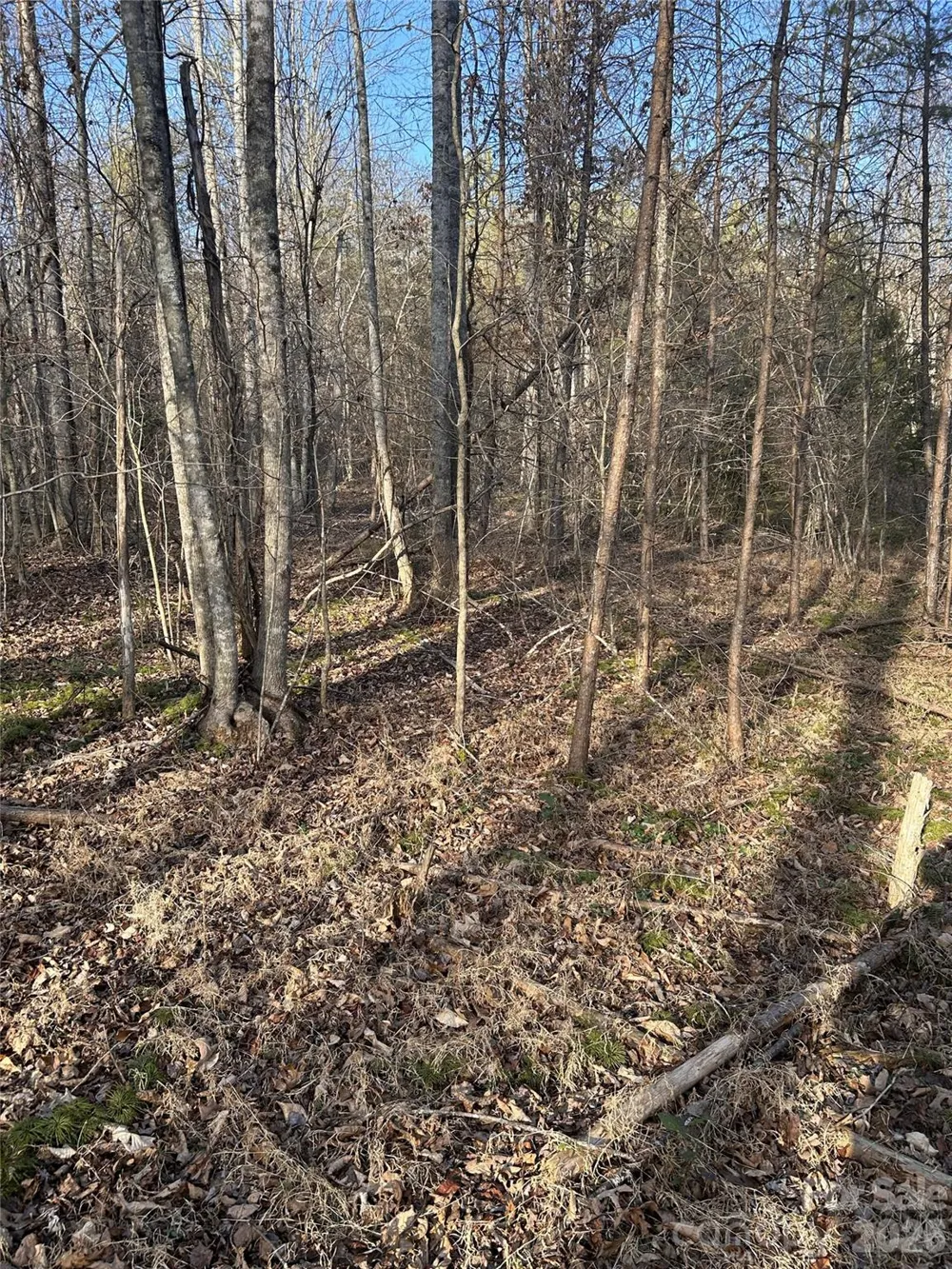 Lot 24 Double Eagle Drive #24 Nebo, NC 28761