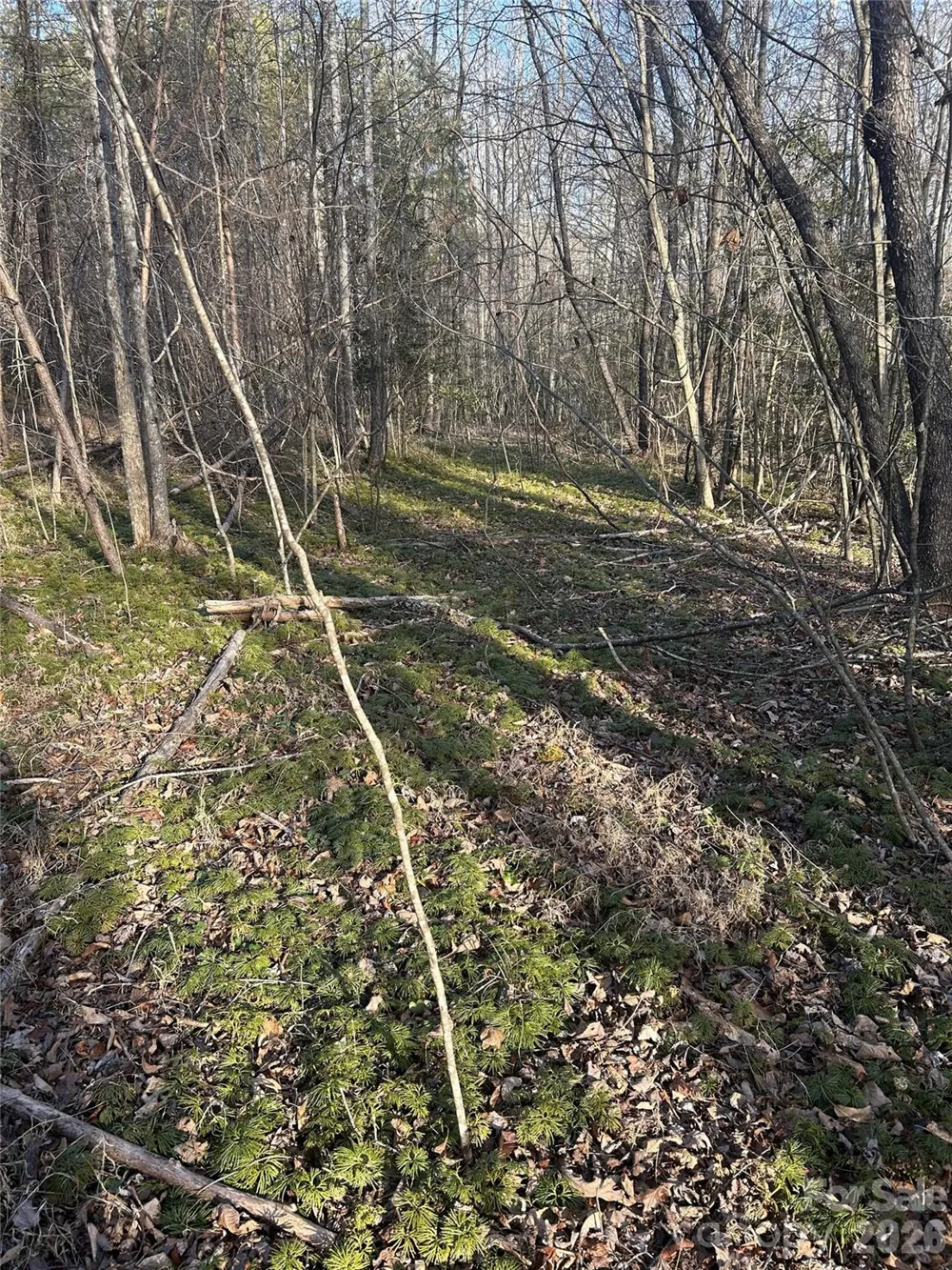 Lot 24 Double Eagle Drive #24 Nebo, NC 28761