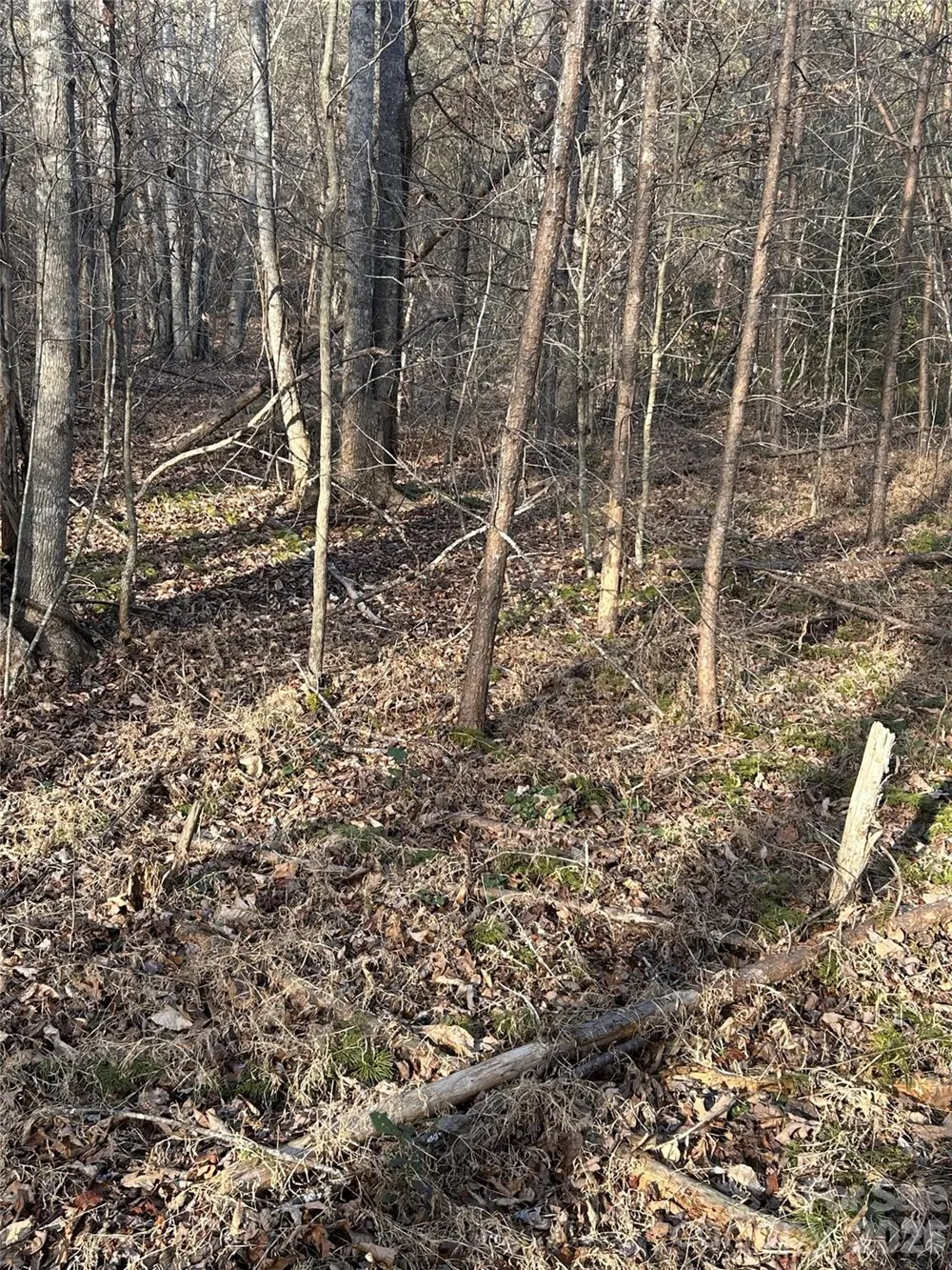 Lot 24 Double Eagle Drive #24 Nebo, NC 28761
