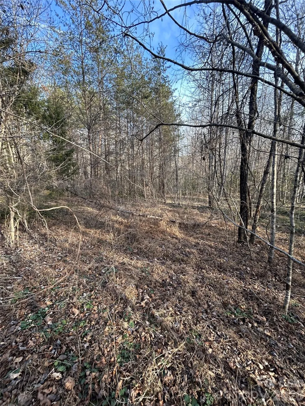 Lot 24 Double Eagle Drive #24 Nebo, NC 28761