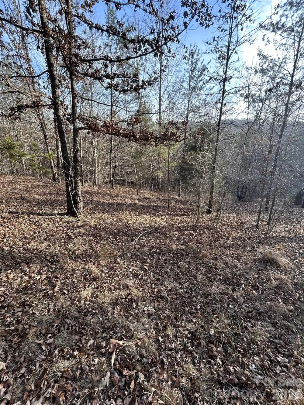 Lot 24 Double Eagle Drive #24 Nebo, NC 28761
