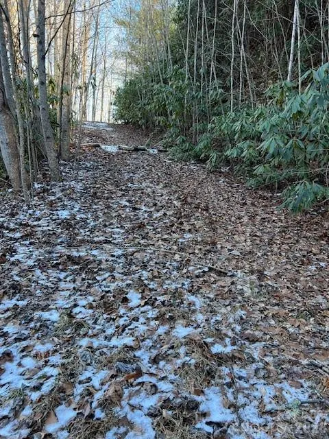621 Round Top Road Almond, NC 28702